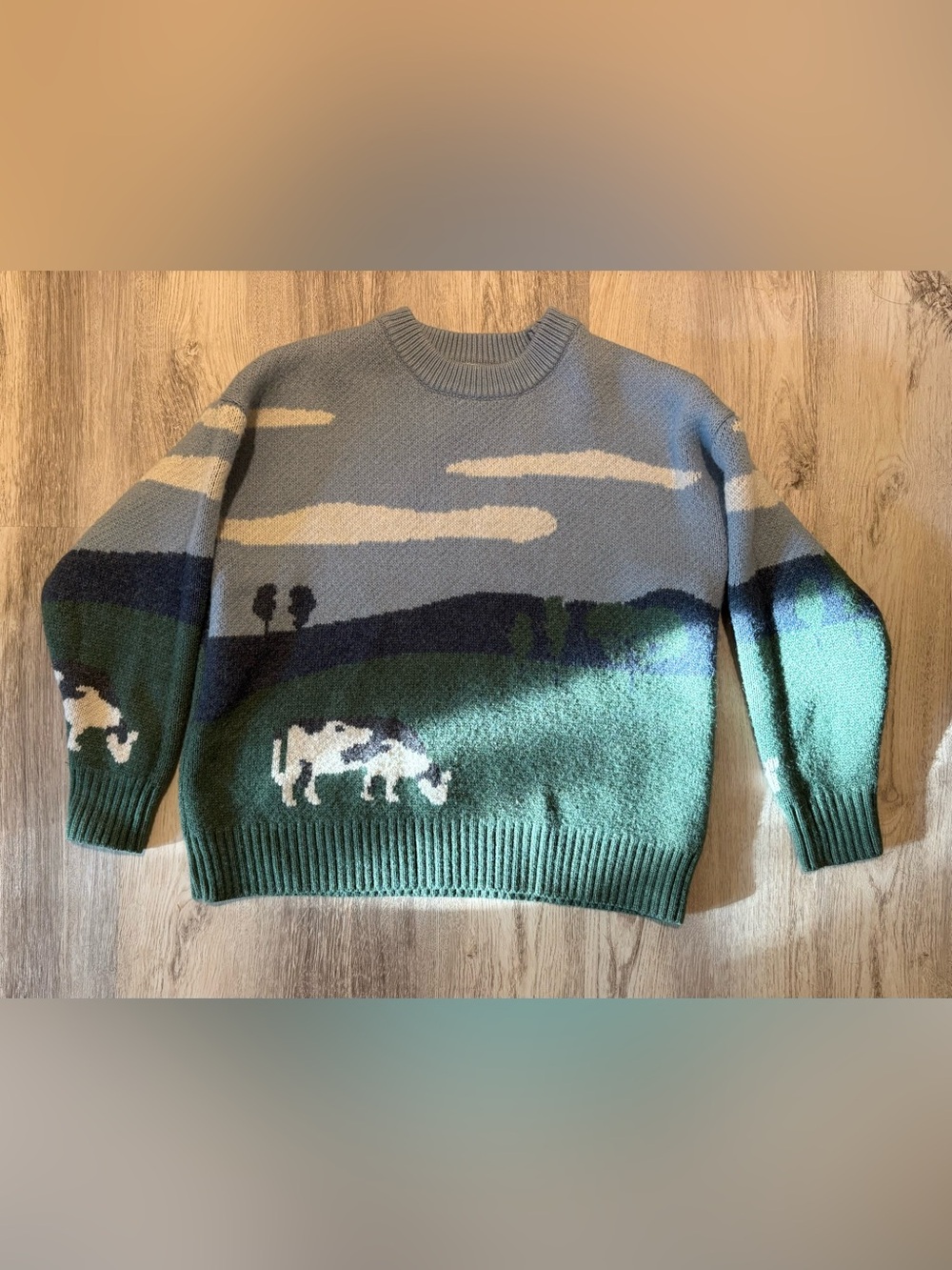 Authentic Aelfric Eden Cow Sweater. SEE MEASUREMENTS